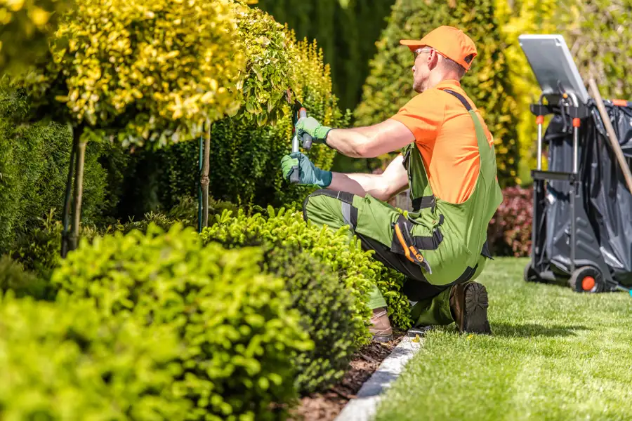 Professional Landscape Services in Middletown, NY Landscaping Company in Middletown, NY