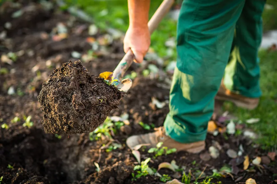 Benefits Of Integrating Hardscapes In Landscape Design Middletown, NY Benefits Of Integrating Hardscapes In Landscape Design Middletown, NY