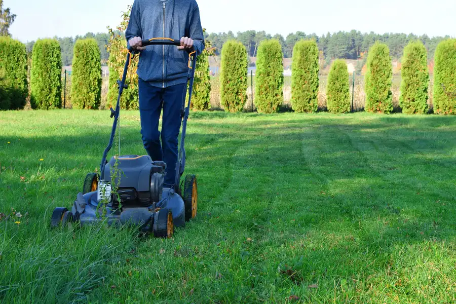 Common Lawn Mowing Mistakes And How To Avoid Them Middletown, NY Common Lawn Mowing Mistakes And How To Avoid Them Middletown, NY