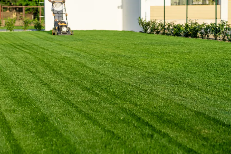 Common Lawn Mowing Mistakes And How To Avoid Them in Middletown, NY Common Lawn Mowing Mistakes And How To Avoid Them in Middletown, NY