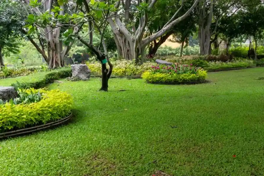 Expert Landscape Maintenance Middletown, NY Expert Landscape Maintenance Middletown, NY