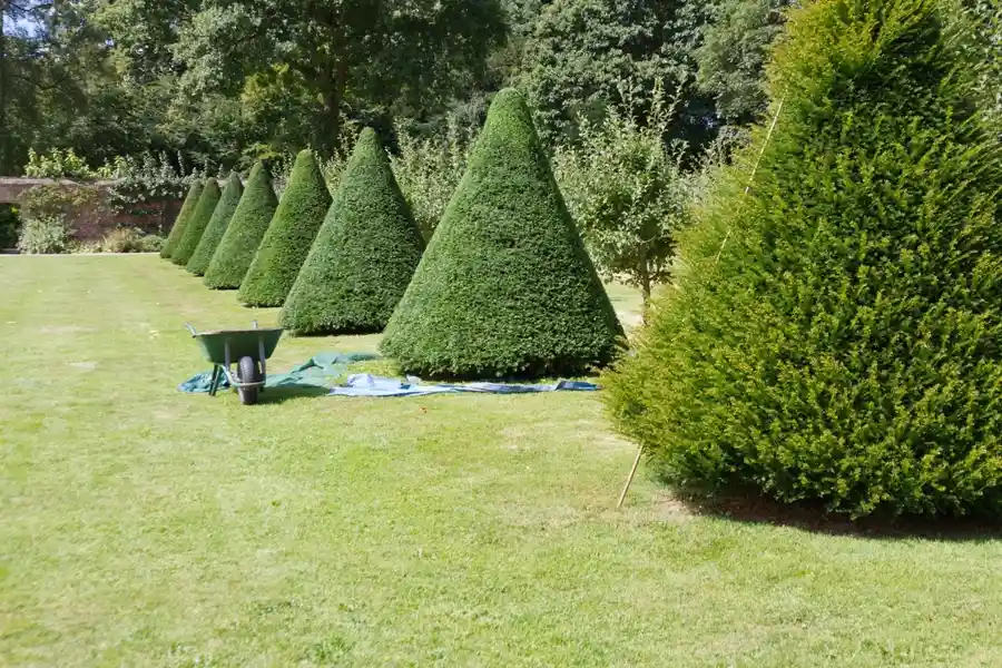 How Mulching Enhances Landscape Maintenance Results Middletown, NY How Mulching Enhances Landscape Maintenance Results Middletown, NY