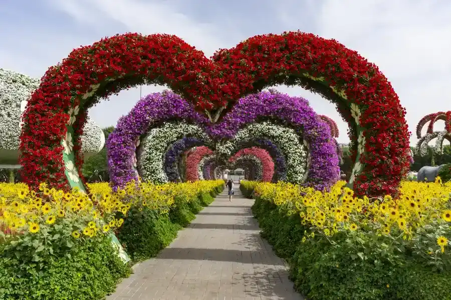 Premium Landscape Installation Middletown, NY Premium Landscape Installation Middletown, NY