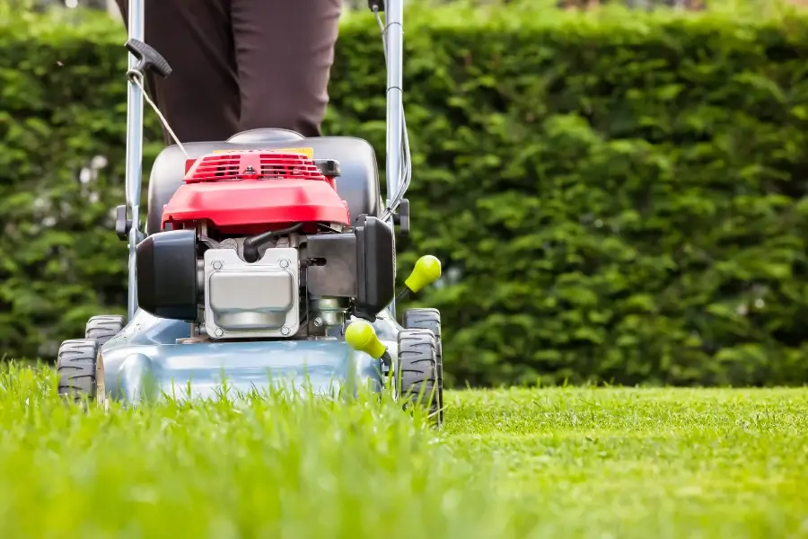 The Role Of Regular Lawn Mowing In Healthy Grass Growth Middletown, NY The Role Of Regular Lawn Mowing In Healthy Grass Growth Middletown, NY