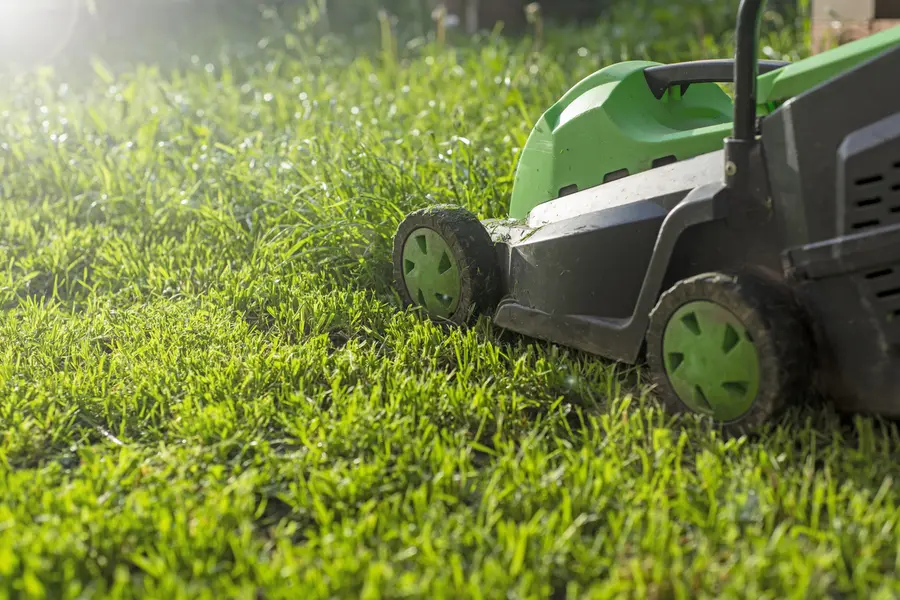 The Role Of Regular Lawn Mowing In Healthy Grass Growth in Middletown, NY The Role Of Regular Lawn Mowing In Healthy Grass Growth in Middletown, NY