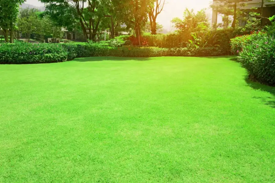 Why Drainage Matters In Landscape Maintenance Middletown, NY Why Drainage Matters In Landscape Maintenance Middletown, NY